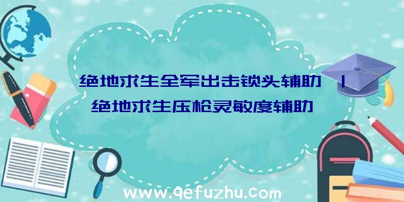 「绝地求生全军出击锁头辅助」|绝地求生压枪灵敏度辅助